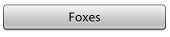 Foxes_1
