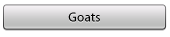Goats_1