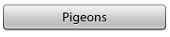 pidgeons_1