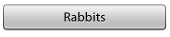 rabbits_1